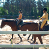 В Ялте планируют открыть конно-спортивную базу