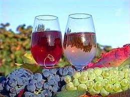 Летом в Севастополе проведут Международный фестиваль вина