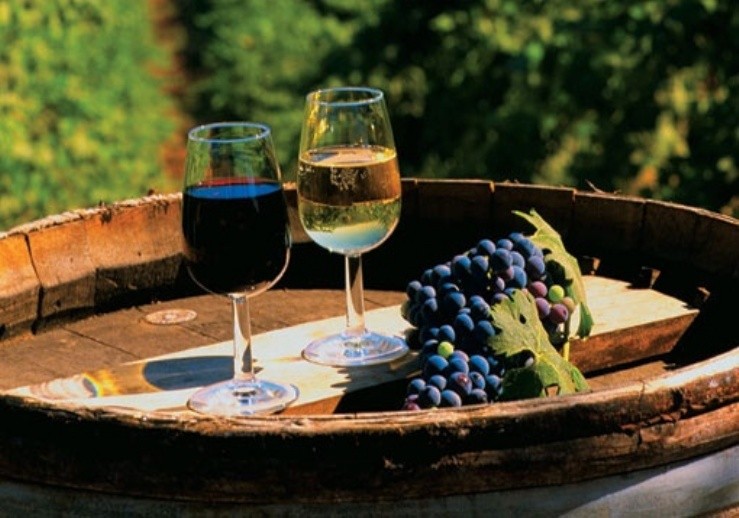 Свое участие в «WineFeoFest» подтвердили 14 винопроизводителей