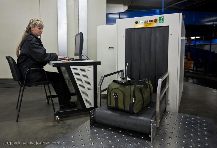 Досмотр багажа в аэропорту «Симферополь» необходимо минимизировать, – Лиев.