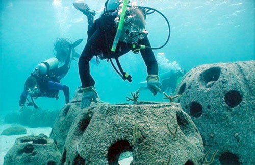 Искусственные рифы привлекают в Крым любителей дайвинга, - экспер