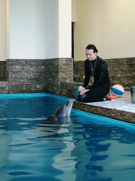 Открытие Центра дельфинотерапии в Ялте (фото)