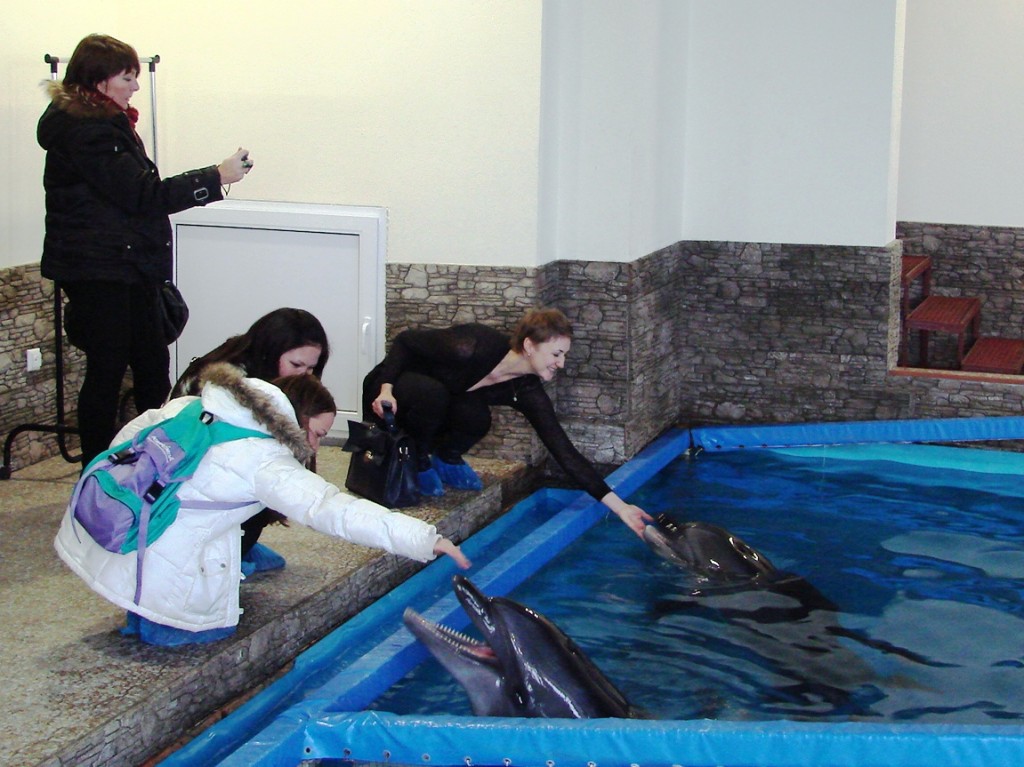 Открытие Центра дельфинотерапии в Ялте (ВИДЕО)