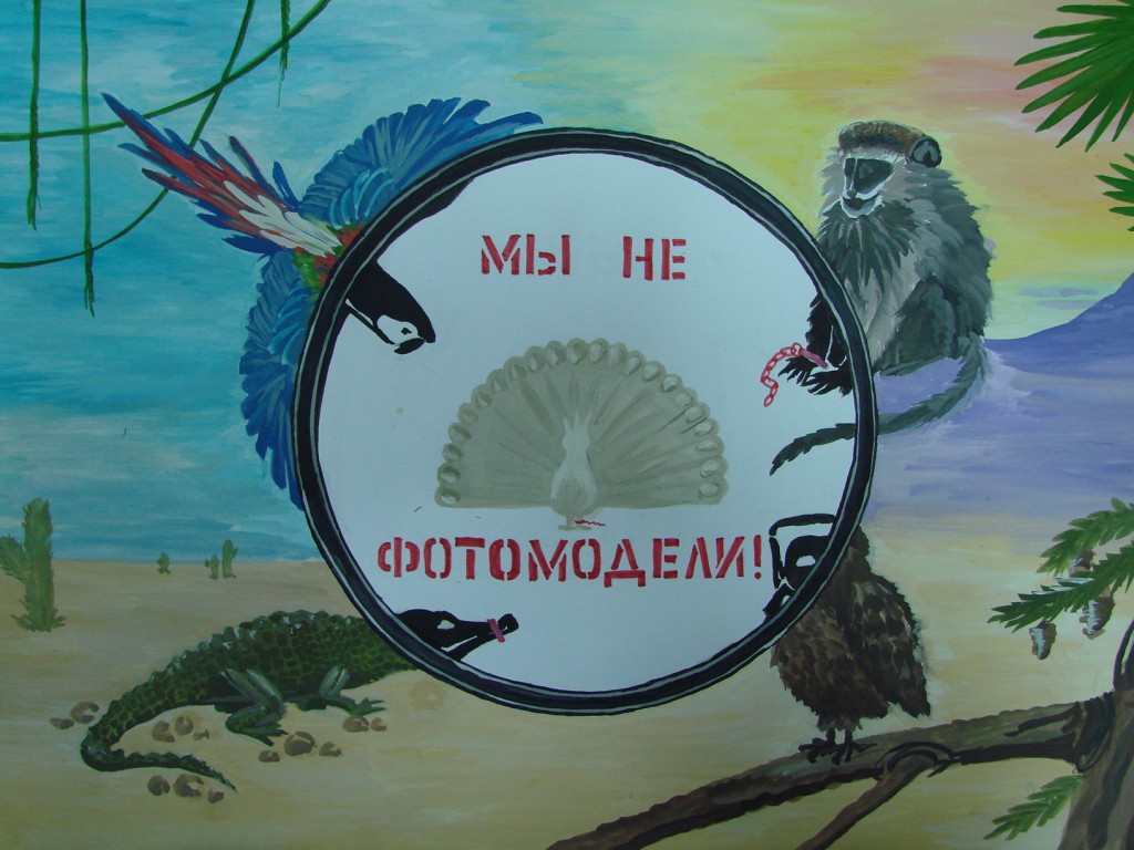 Минкурортов Крыма проведет серию выставок социального плаката в защиту животных