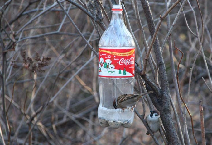 Участница конкурса «Мисс Крым-2013» показала, как сделать кормушку для птиц из пластиковой бутылки (видео)