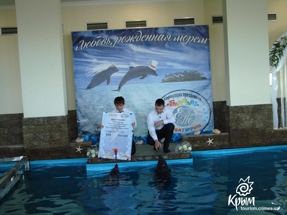 В Ялте поженили дельфинов Тарзана и Еву (фото)